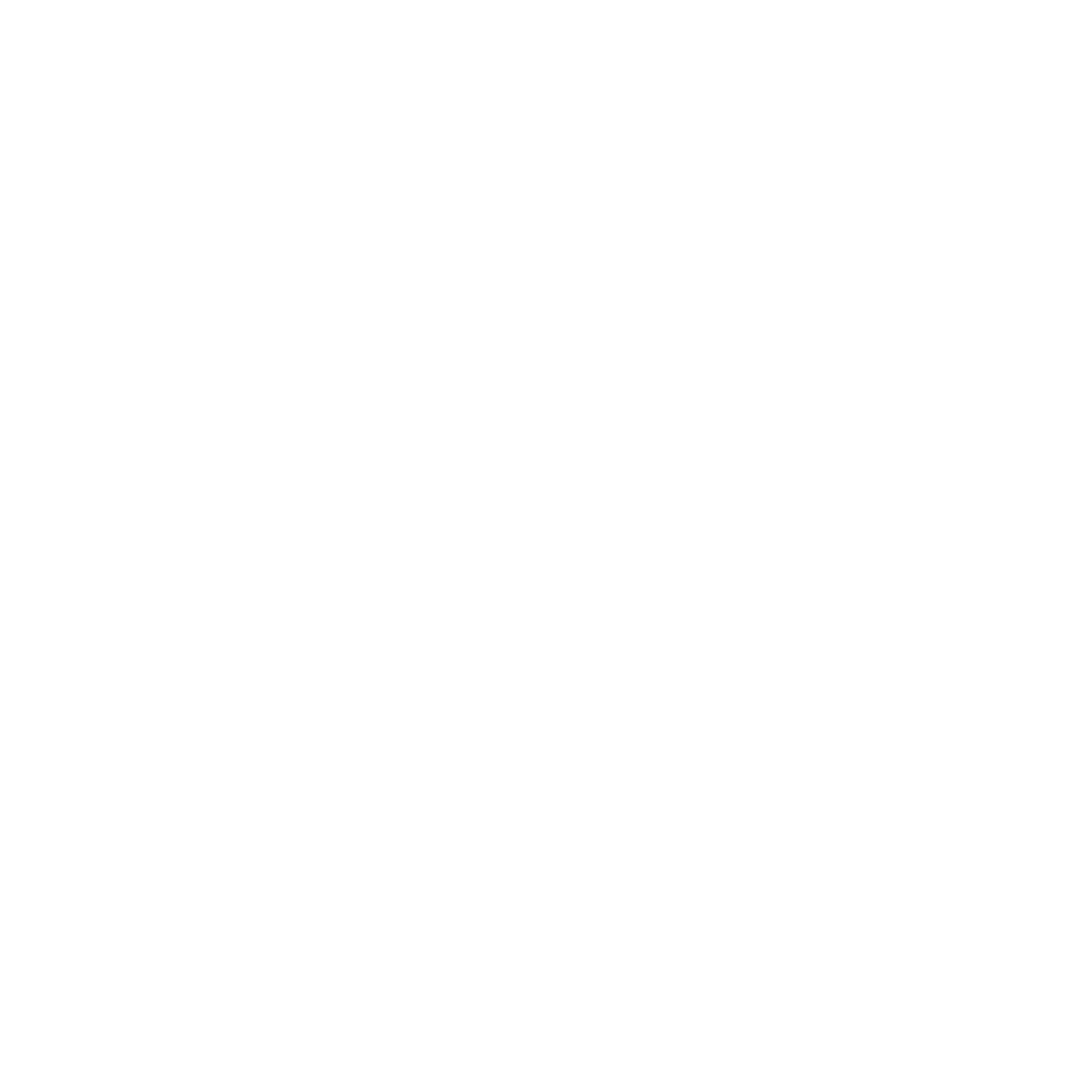 Wildflower Films Logo
